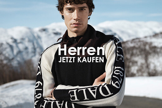 Herren Pullover