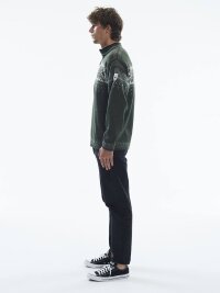 Dale of Norway Blyfjell Sweater Wollpullover Grün