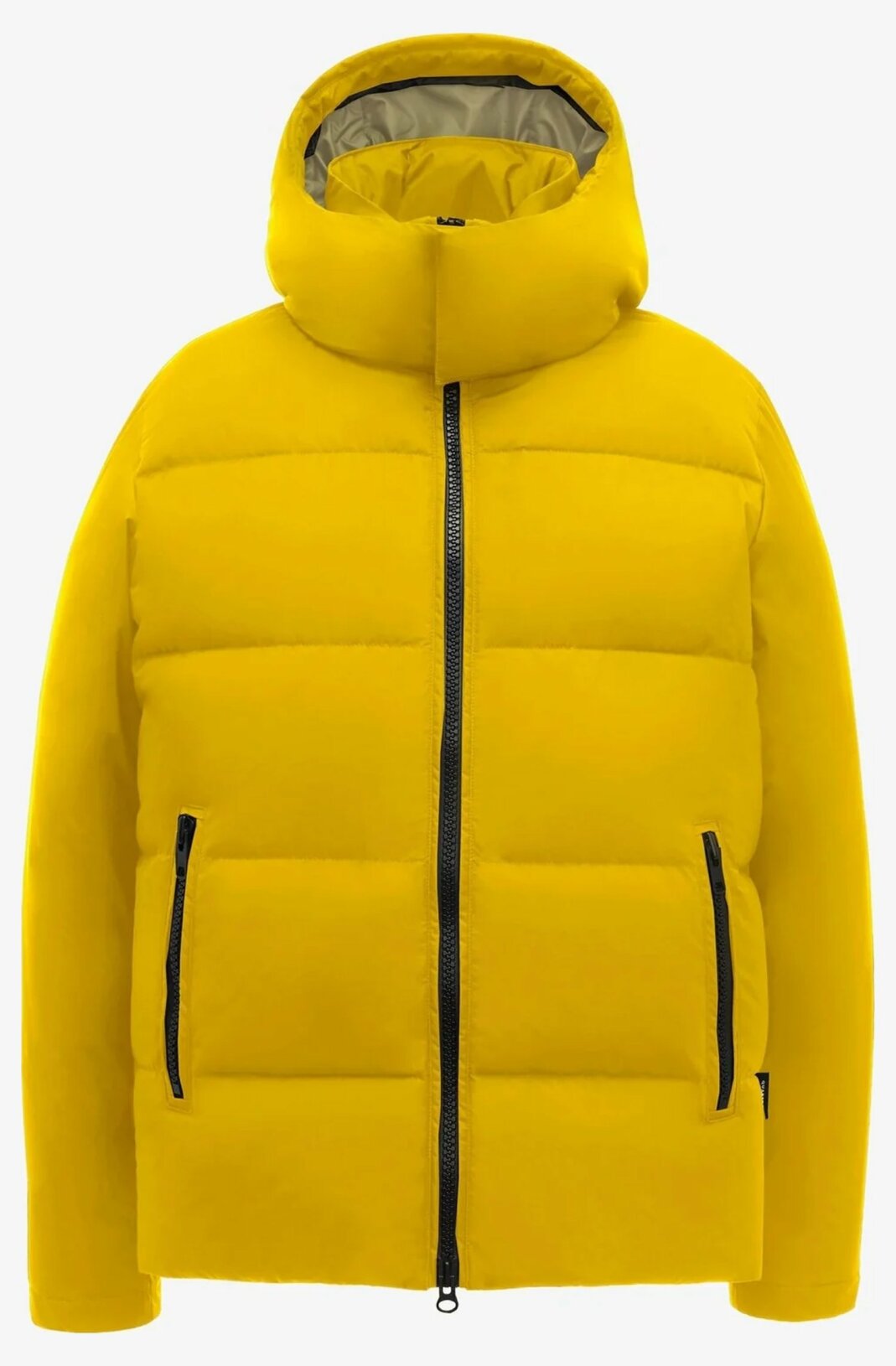 Kapuzen Pufferjacke Pufferjacke Gelb Quartz Co Kane Herren - Main Image